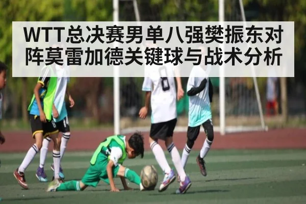 WTT总决赛男单八强樊振东对阵莫雷加德关键球与战术分析
